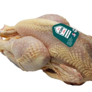 Coquelet